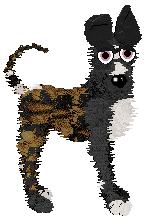 PA/Dh's Believe It or Not — “Ripley”