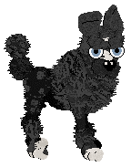 HK/Dh's Dandy Ruffian — “Fester”