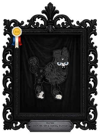 Profile image of HK/Dh's Dandy Ruffian