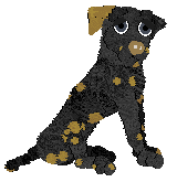 Profile image of Tangled's Dark Revival at Vanilla