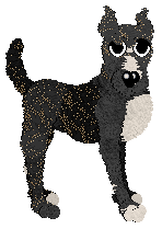 Perfume/FDL's Where Is Bella? — “Mortimer”