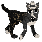 Profile image of Perfume/FDL's Where Is Bella?