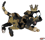 Profile image of Perfume/FDL's Guinea Corn Crop