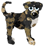 Perfume/FDL's Guinea Corn Crop — “Sorgho”