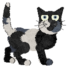 Profile image of King/AP's I Don't Even Like Pie!