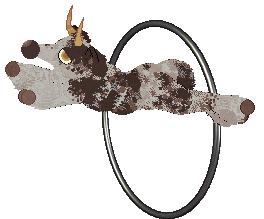 Perfume/Dh's Udderly Unusual — “Longhorn”