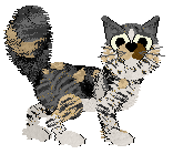 Perfume Canals On Mars — “Percival”