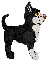 Profile image of Pachelbel's Echoes of Departure