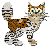 Profile image of Perfume Anything That Fizzes