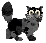 Dh's Civil War — “War”