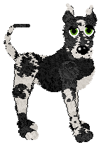 Gizmo/Dh's White Flag — “Truce”