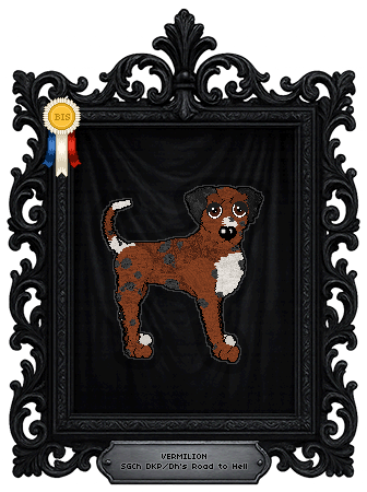 Profile image of DKP/Dh's Road to Hell