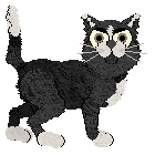 LiliPad's Mixed Up at Wild Road — “Mismatch”