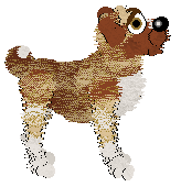 Xoops' Lavelle at Wild Road — “Lavelle”