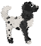 Sz's Really, Really, Really Wanna Zigazig Ah — “Scary”