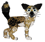 Profile image of SGP/FK’s Mischief, Managed