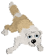 Charmme/Poppyhill's Where the Light Lingers — “Immy”