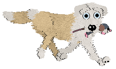 Charmme/Poppyhill's Where the Light Lingers — “Immy”