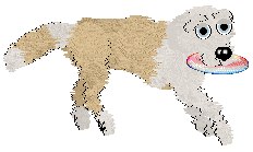 Charmme/Poppyhill's Where the Light Lingers — “Immy”