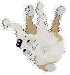 Charmme/Poppyhill's Where the Light Lingers — “Immy”