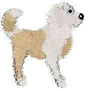 Charmme/Poppyhill's Where the Light Lingers — “Immy”