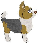 Profile image of Pachelbel's Modern Bravado