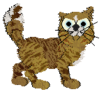 Charmme Festive Spice — “Satsuma”