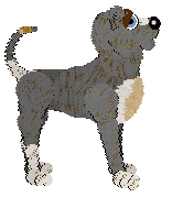 Ferality's Big Challenges at Ephemera — “Challenge”