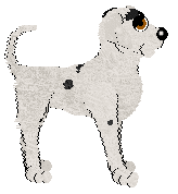 Poppyhill's Freckled Royalty at Ephemera — “Sir Freckle”