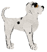 Poppyhill's Freckled Royalty at Ephemera — “Sir Freckle”