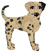 Lyric/Witz's Claim to Fame — “Brie”