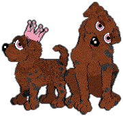 Profile image of Cargo/Witz's Fresh & Fading