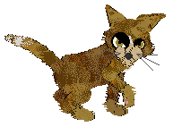 EC's Heart of the Wild — “Feralblood”