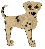 Haylie/Witz's Worth the Time — “Jussi”