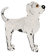 King/Witz's Technically a Snarl — “Grin”