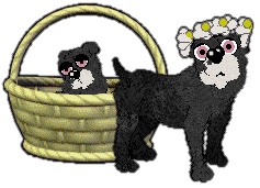 Profile image of Witz's Student of Magic