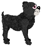 Witz's Student of Magic — “Windia”