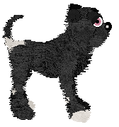 Witz's Plot to Poison — “Coursair”