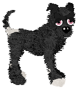 Witz's Plot to Poison — “Coursair”