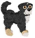 Witz's Seeking to Destroy — “Evrai”