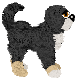 Witz's Seeking to Destroy — “Evrai”