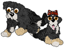 Profile image of Witz's Seeking to Destroy