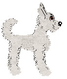 Vanilla/Bec's Near Whiteout — “Sno”