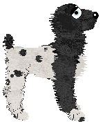 Vanilla/Bec's Constellation Clash — “Orion”