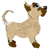 NSP's Short Stack at Vanilla — “Syrup”