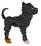 Vanilla's All About Me — “Vanity”