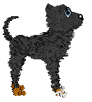 Vanilla's All About Me — “Vanity”