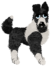 Cirrutopia's I Mustache You To Stay at Vanilla — “Stash”