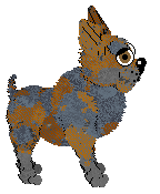 Cirrutopia's Wild Again at Vanilla — “Bronco”