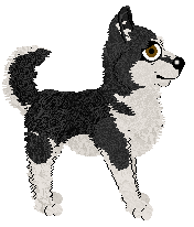 Profile image of Pachelbel's Urban Shine